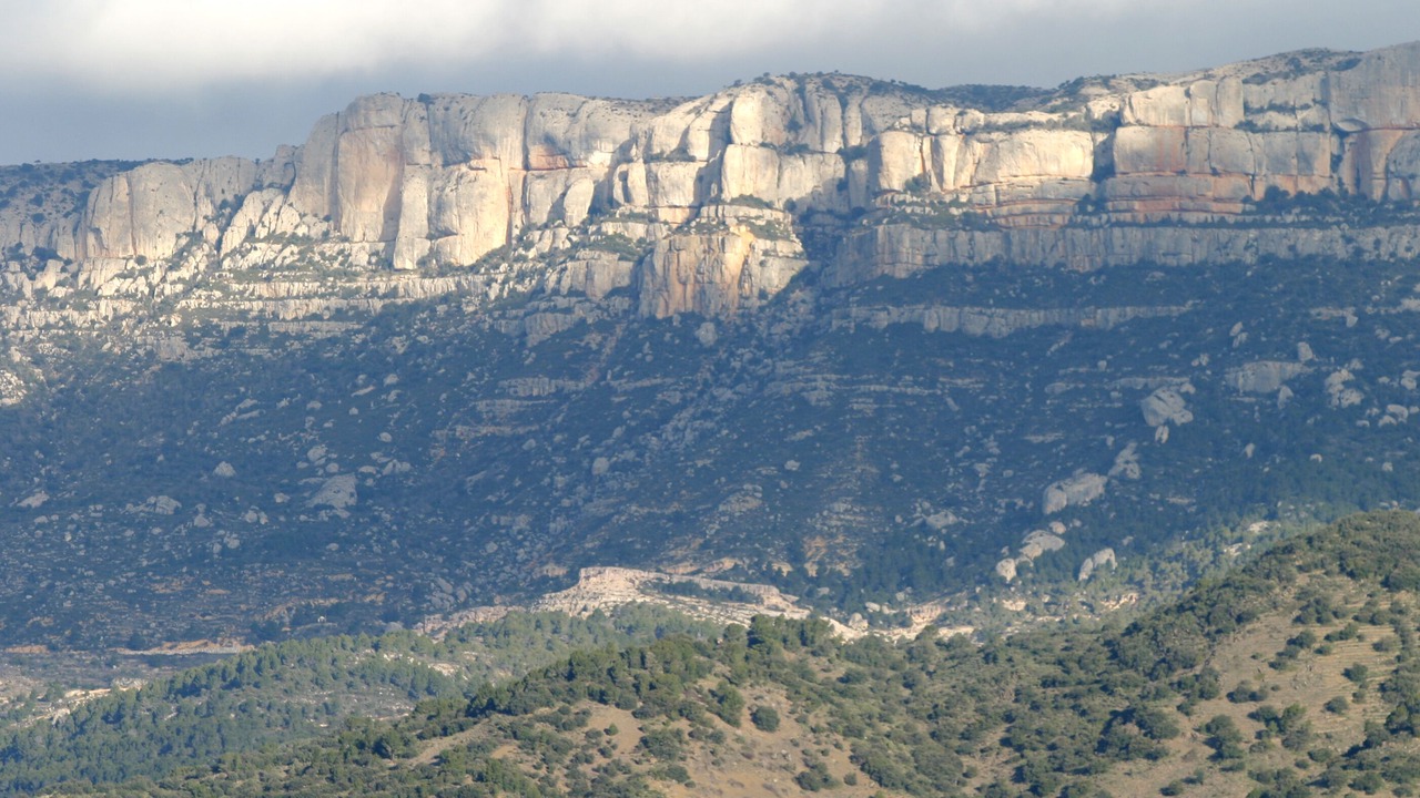 Photo of Others in Cornudella de Montsant