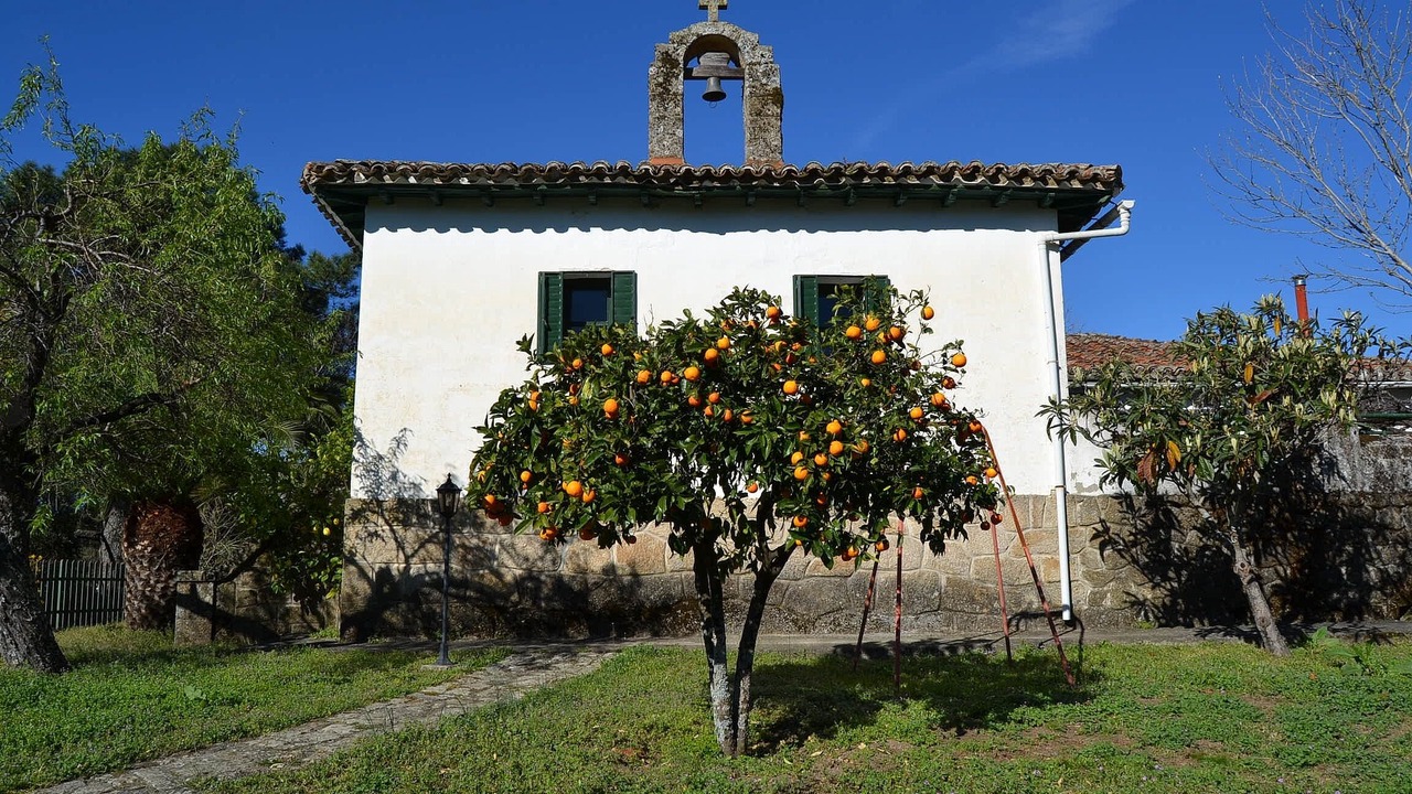 Photo of Outdoor in Guisando