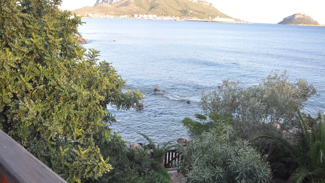 Photo of Others in Baia Caddinas