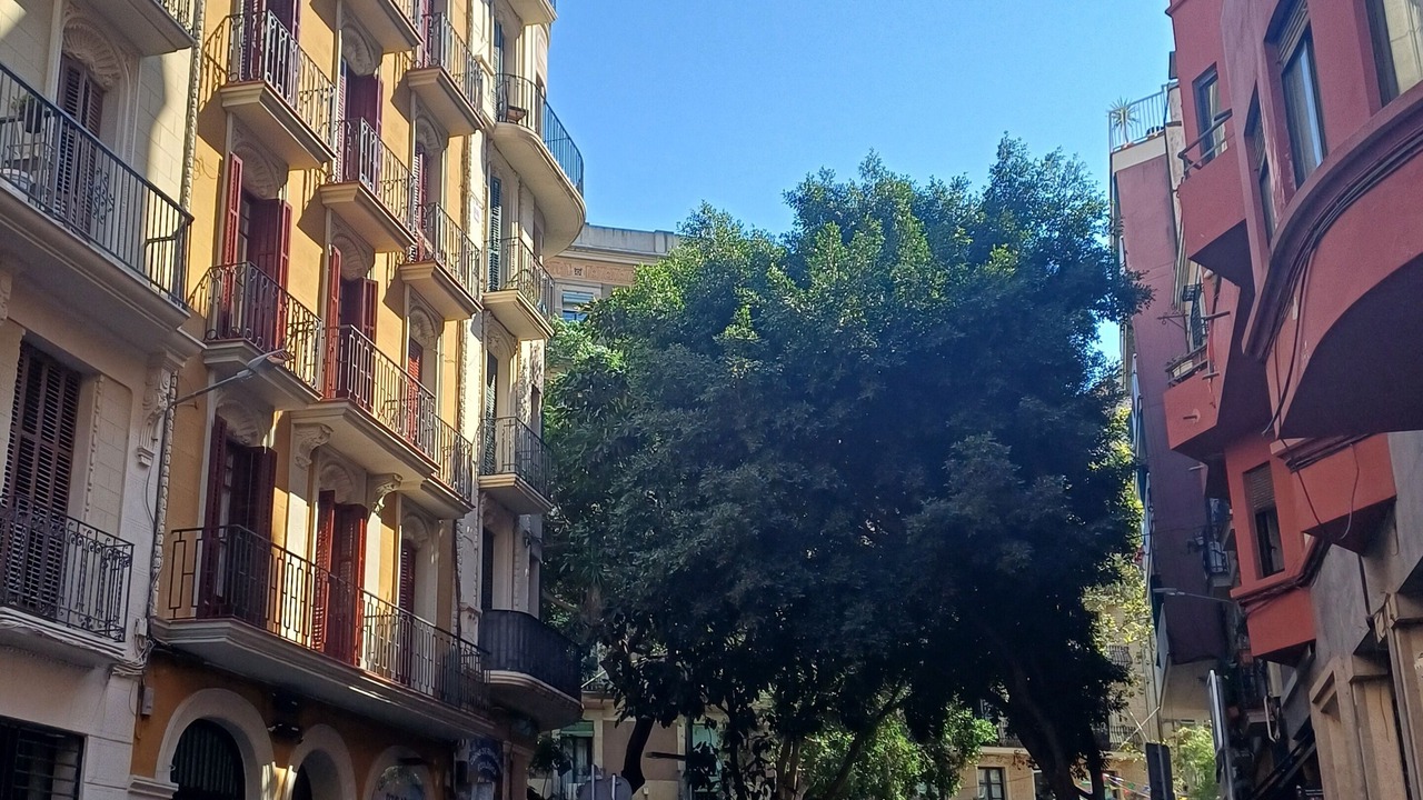 Photo of Others in El Poble-sec