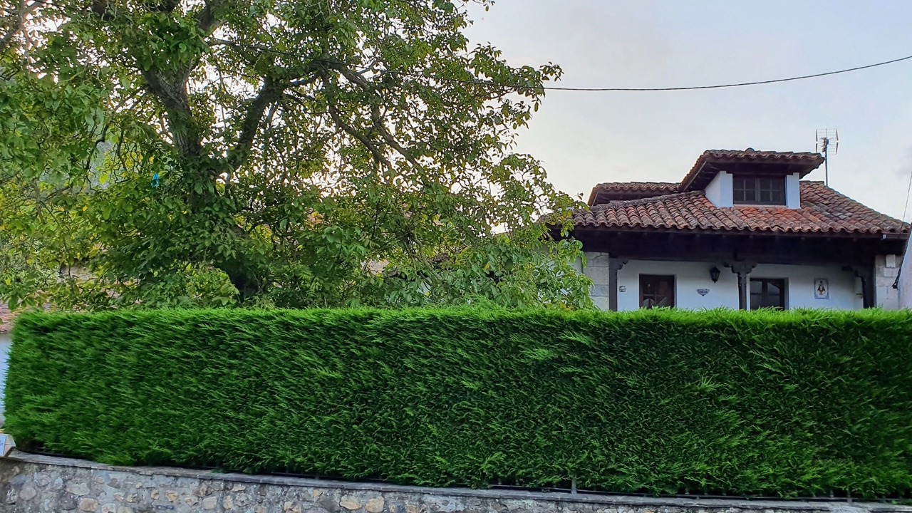 Photo of Others in La Pereda