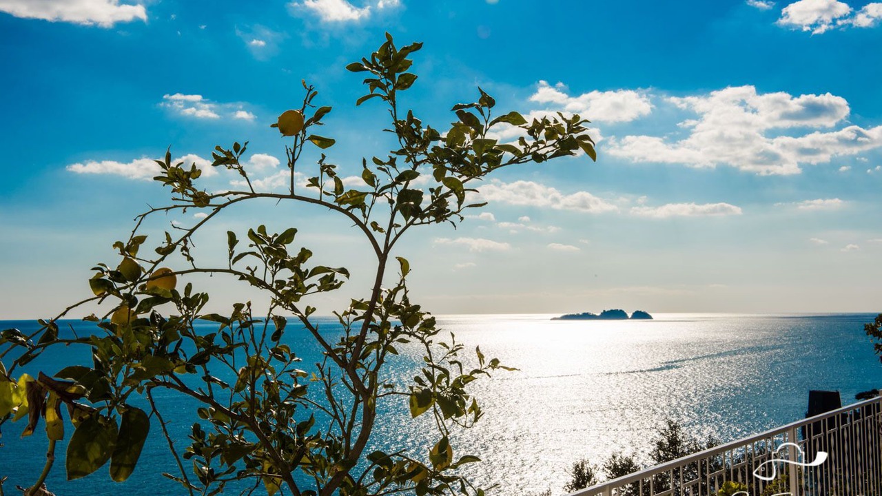 Photo of Others in Positano