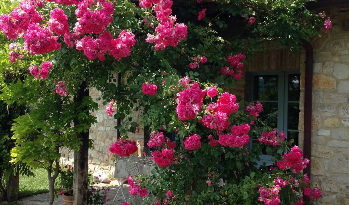 Photo of Outdoor in Acqua Loreto