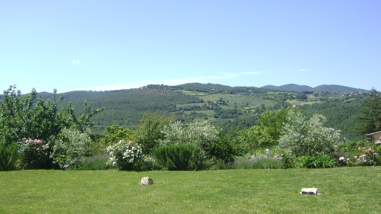 Photo of Outdoor in Acqua Loreto