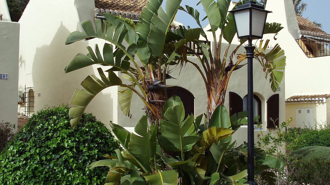 Photo of Outdoor in Diputacion de Rincon de San Gines