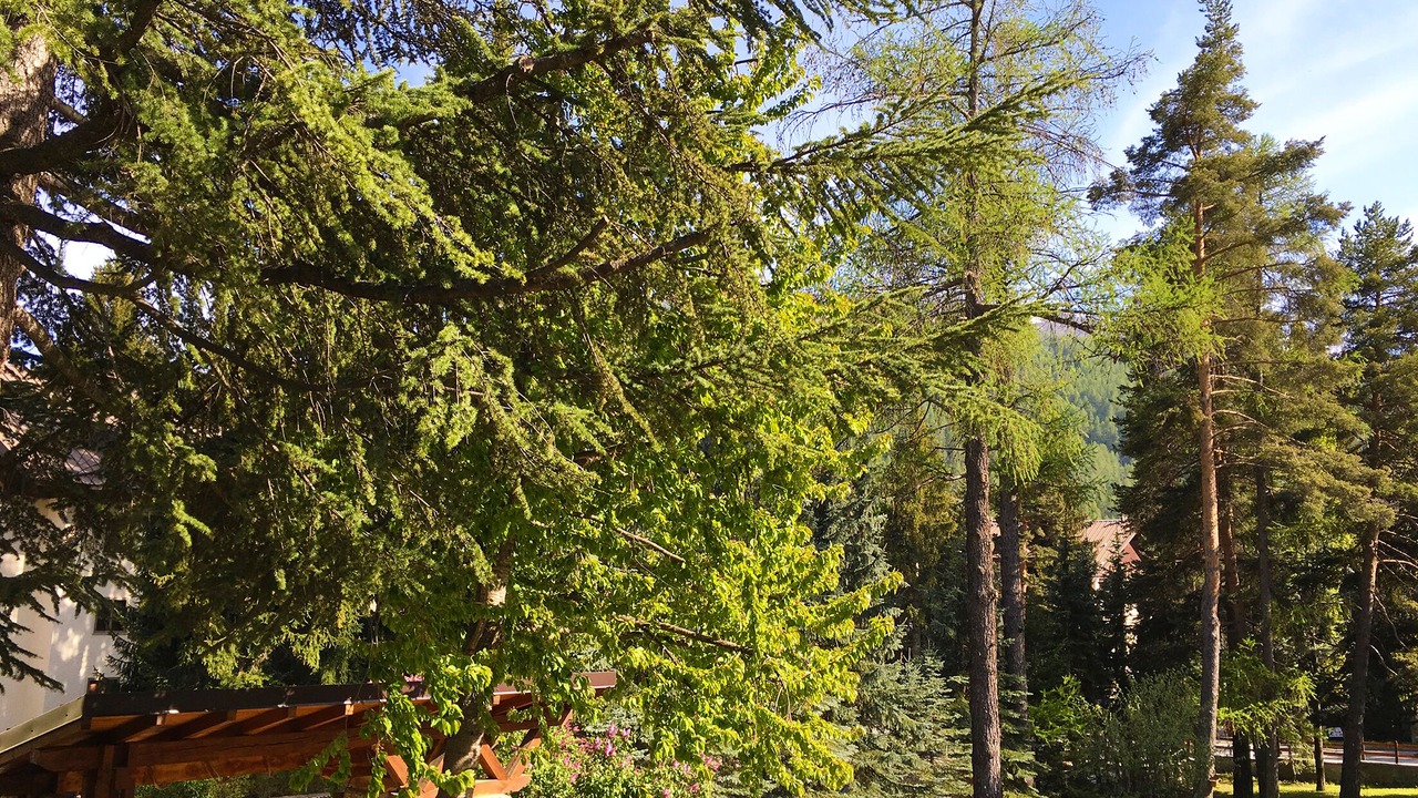 Photo of Outdoor in Bardonecchia
