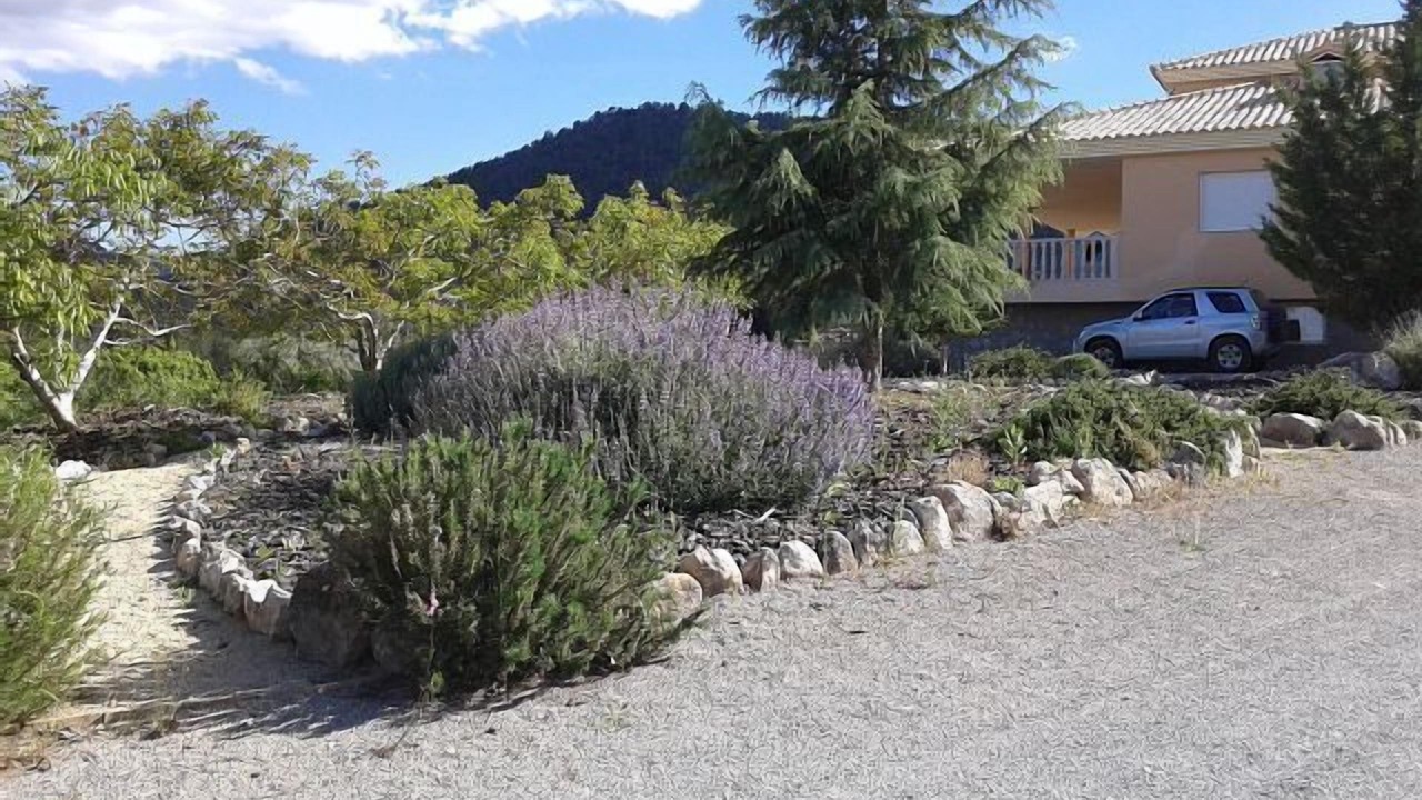Photo of Outdoor in Bullas