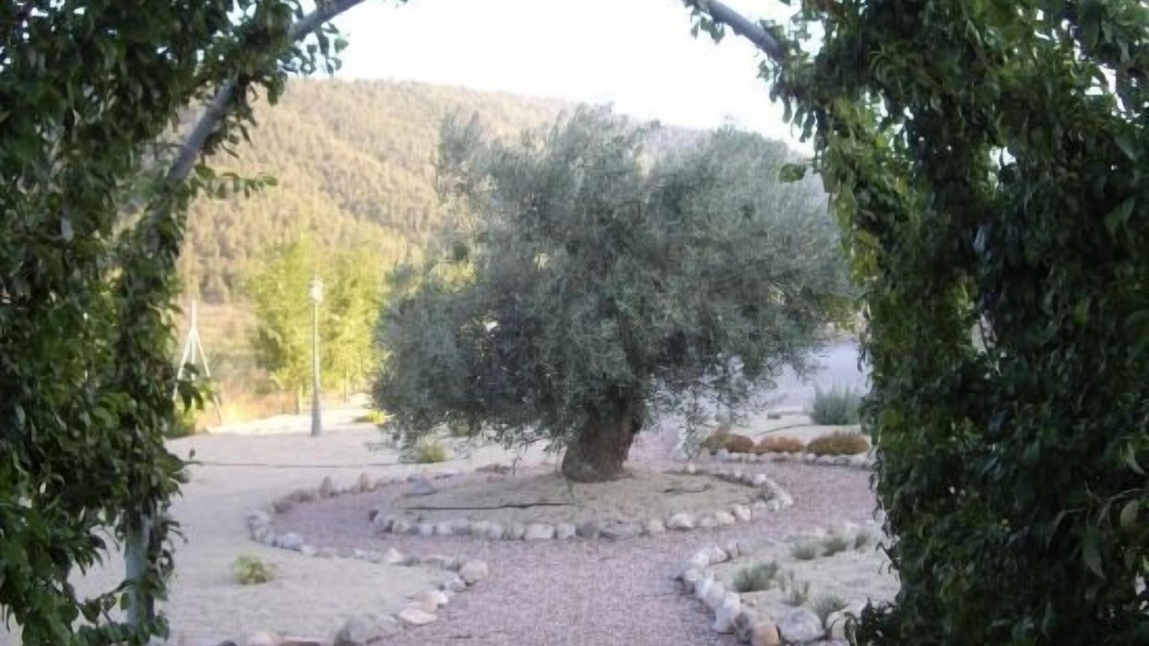 Photo of Outdoor in Bullas