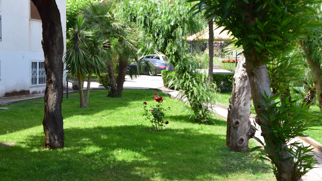 Photo of Outdoor in Laura