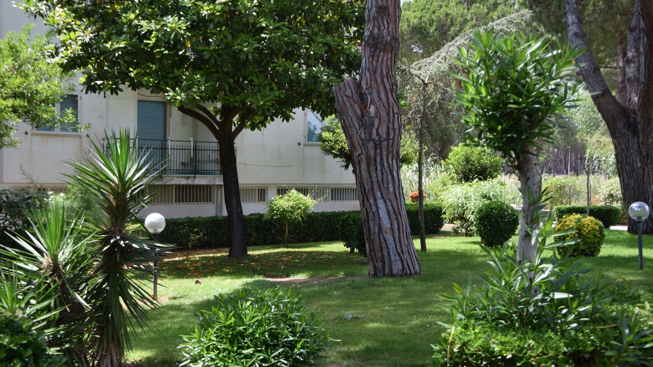 Photo of Outdoor in Laura