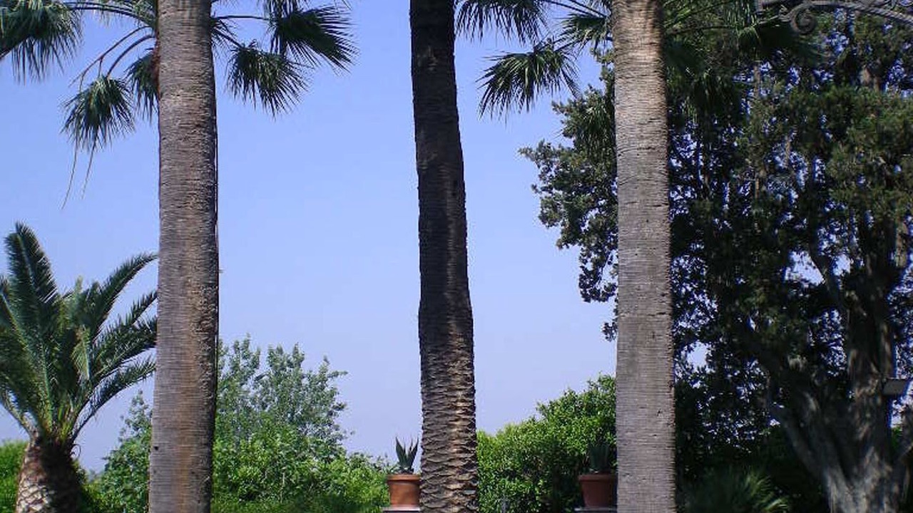 Photo of Outdoor in San Giorgio a Cremano
