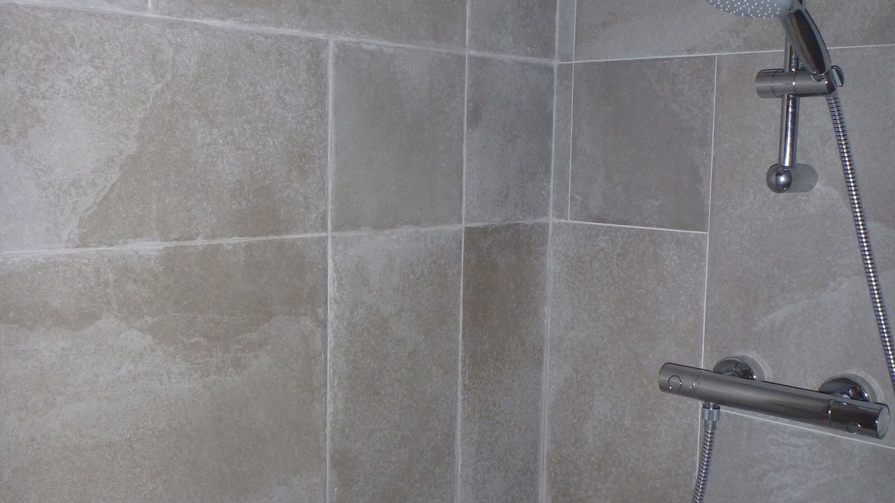 Photo of Bathroom in Laspuna