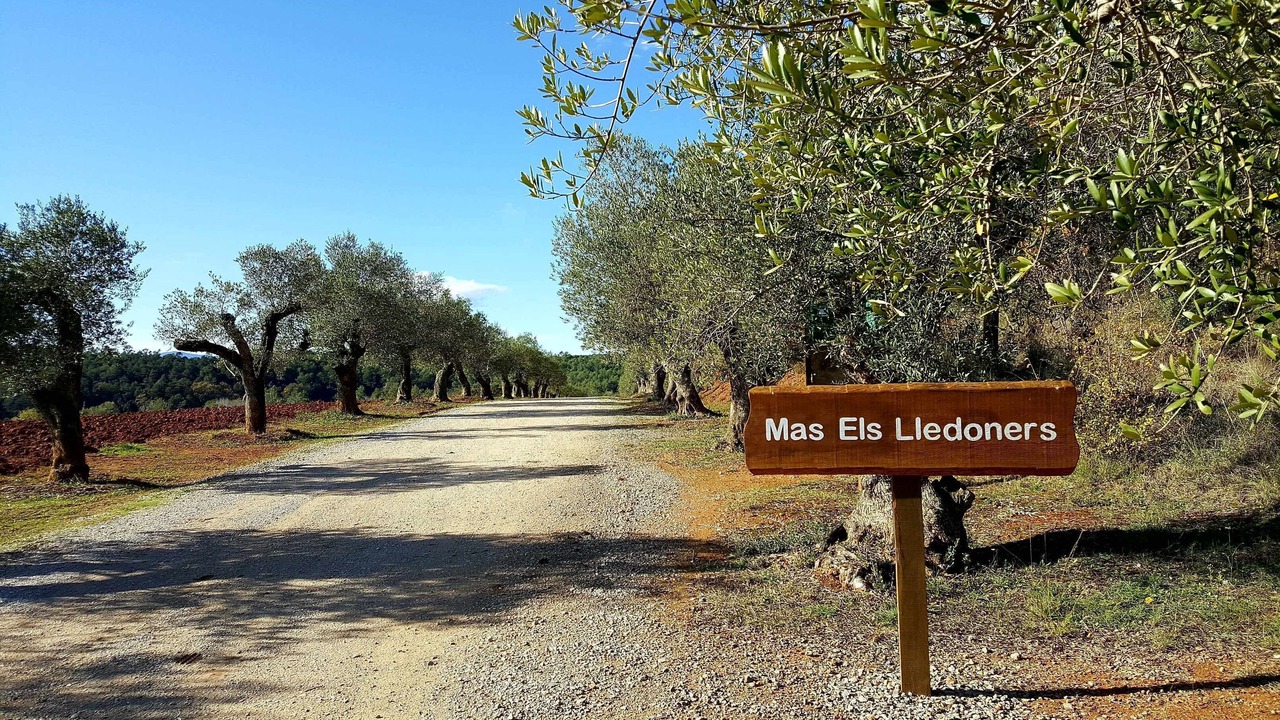 Photo of Others in Queixas