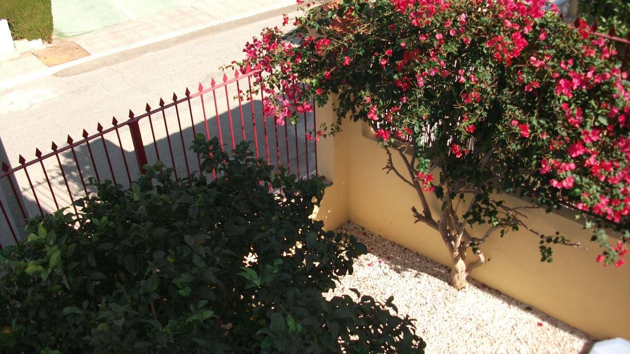 Photo of Outdoor in Puerto de Mazarron