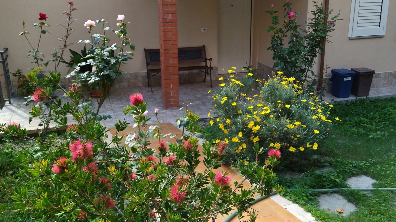 Photo of Outdoor in Borgomaro