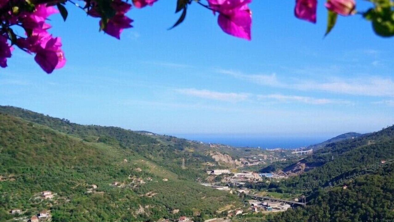 Photo of Outdoor in Pontedassio