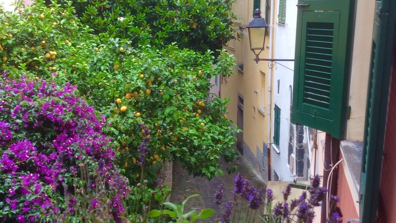 Photo of Outdoor in Borgo Antico