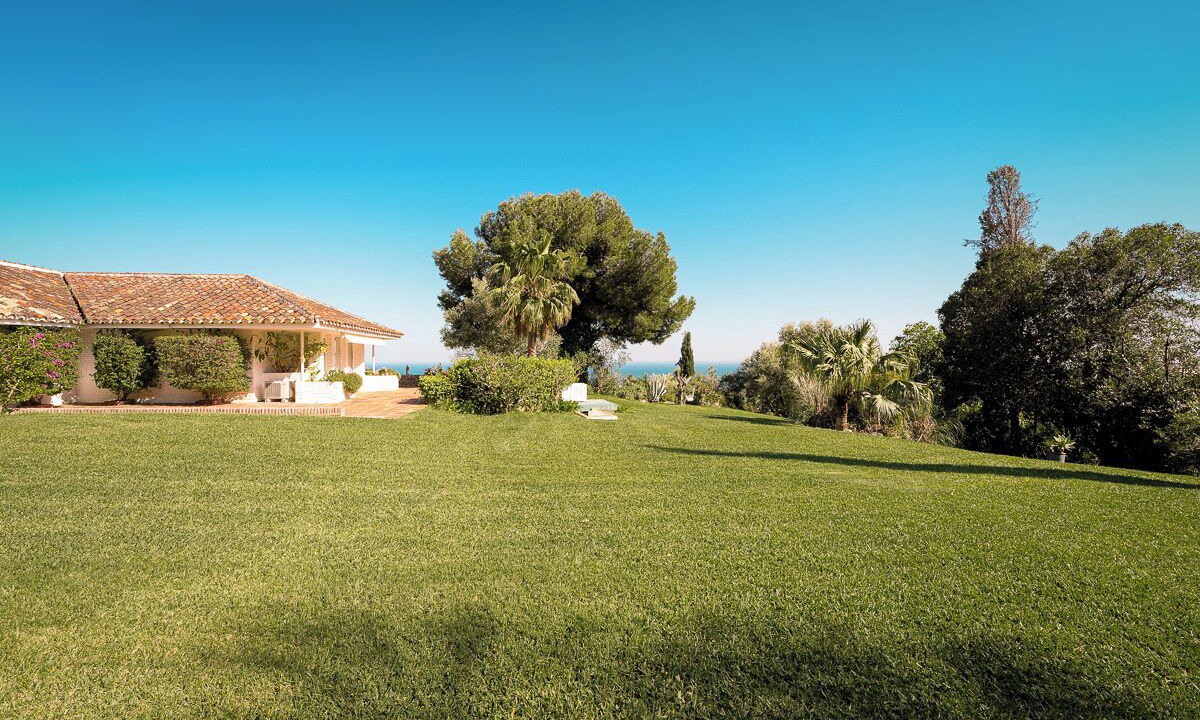 Photo of Outdoor in Rancho Domingo