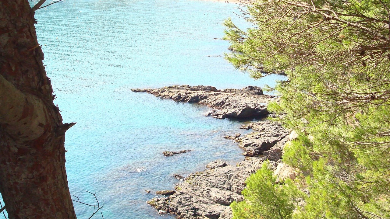 Photo of Others in Begur