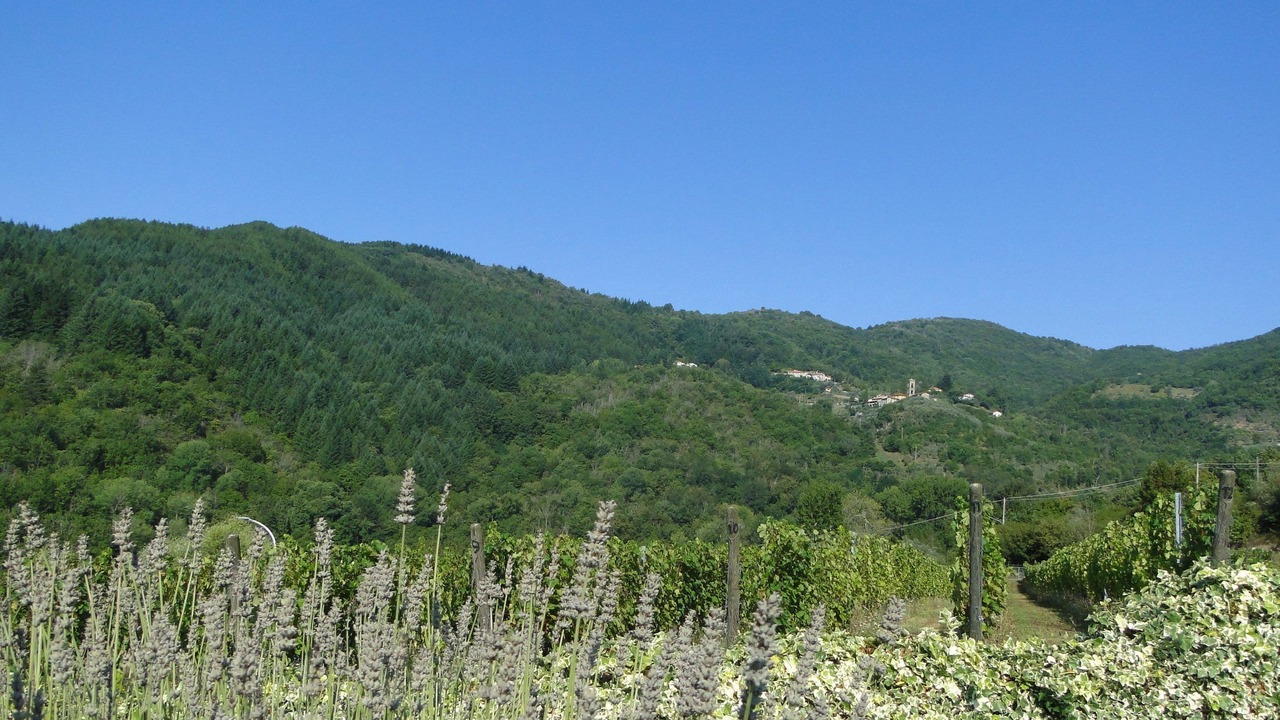 Photo of Others in Casola in Lunigiana