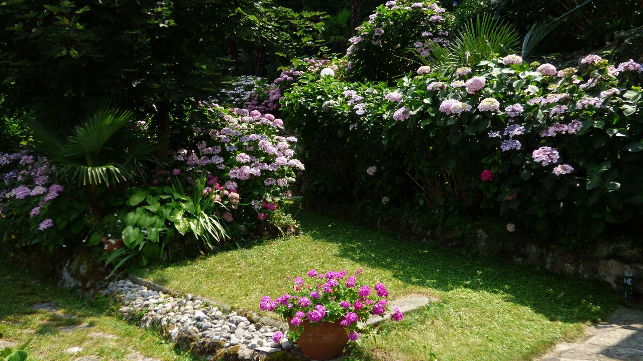 Photo of Outdoor in Blevio