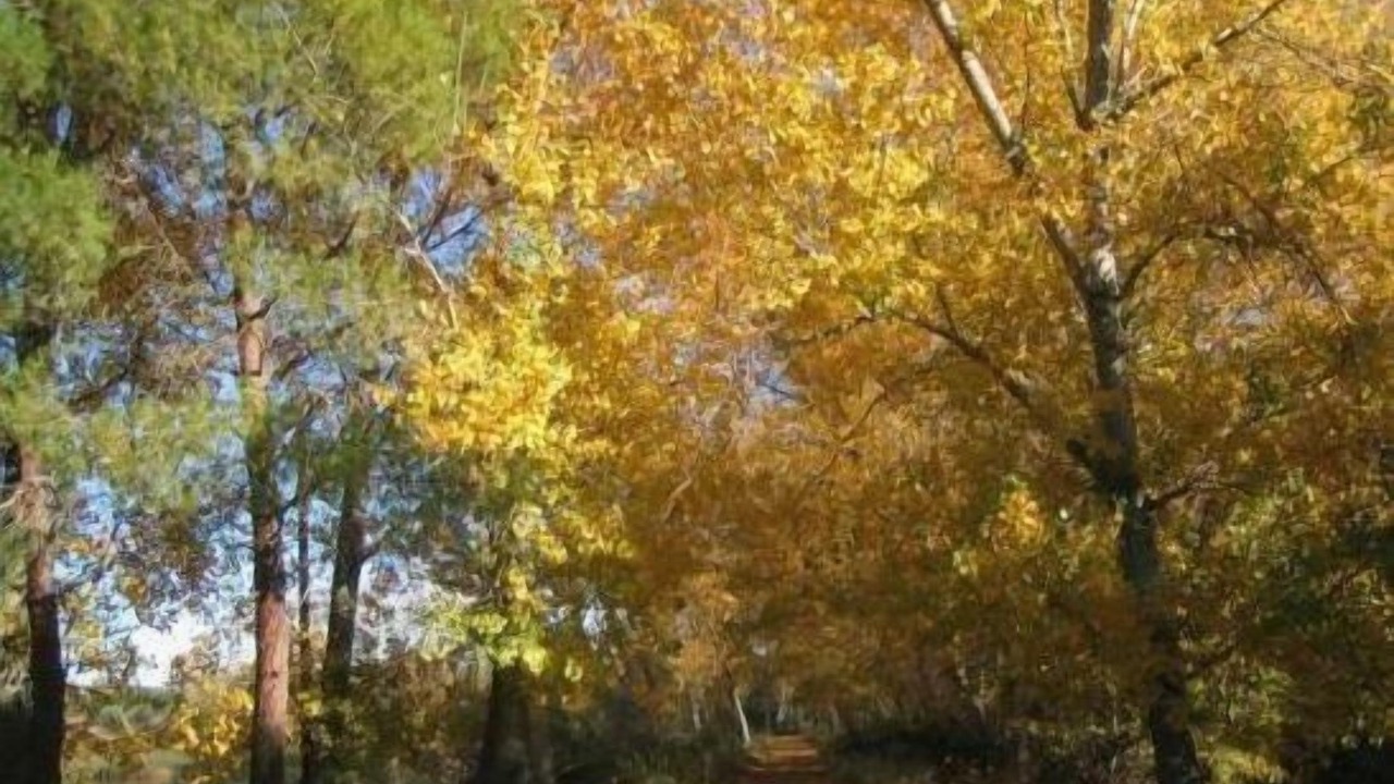 Photo of Outdoor in El Picazo