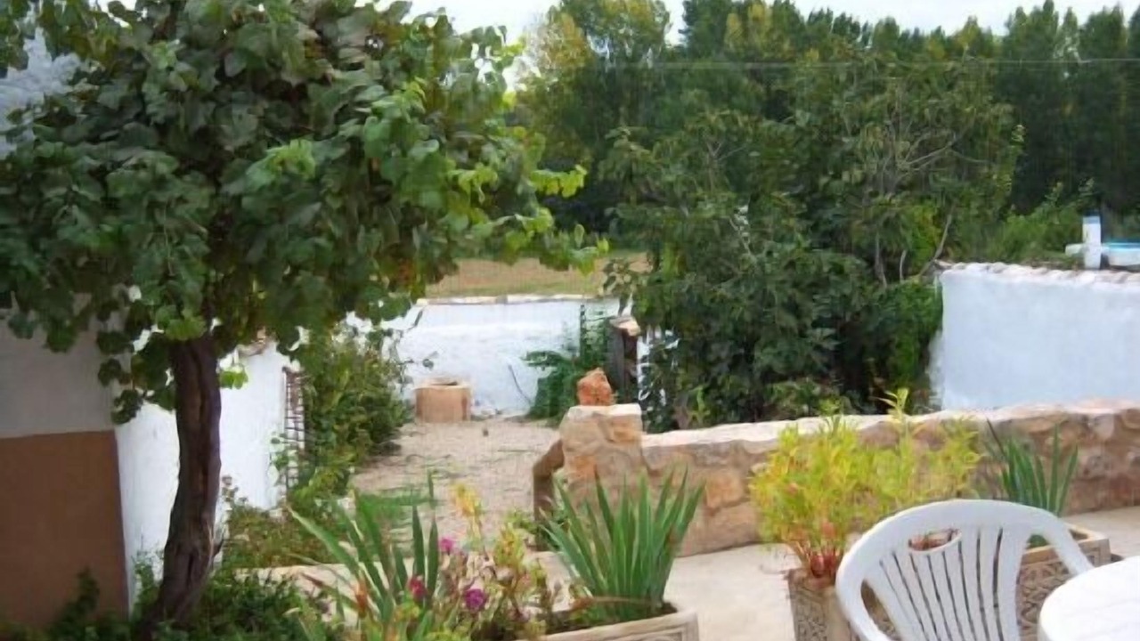 Photo of Outdoor in El Picazo