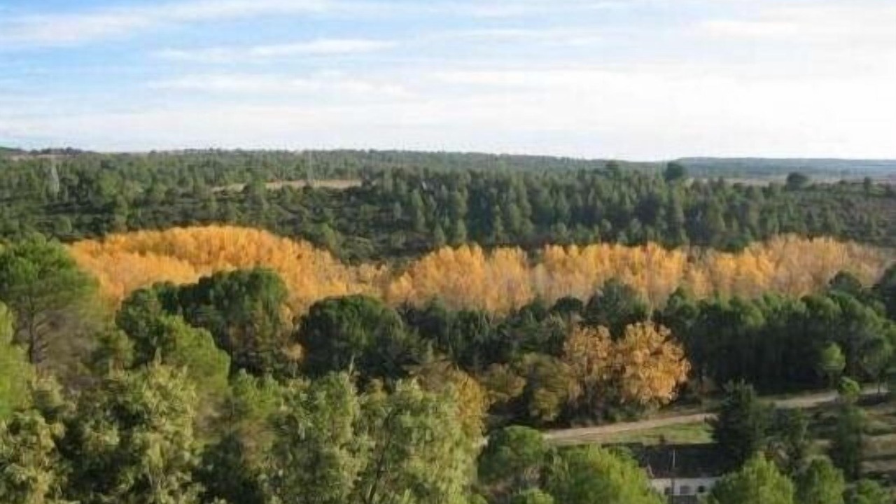 Photo of Outdoor in El Picazo