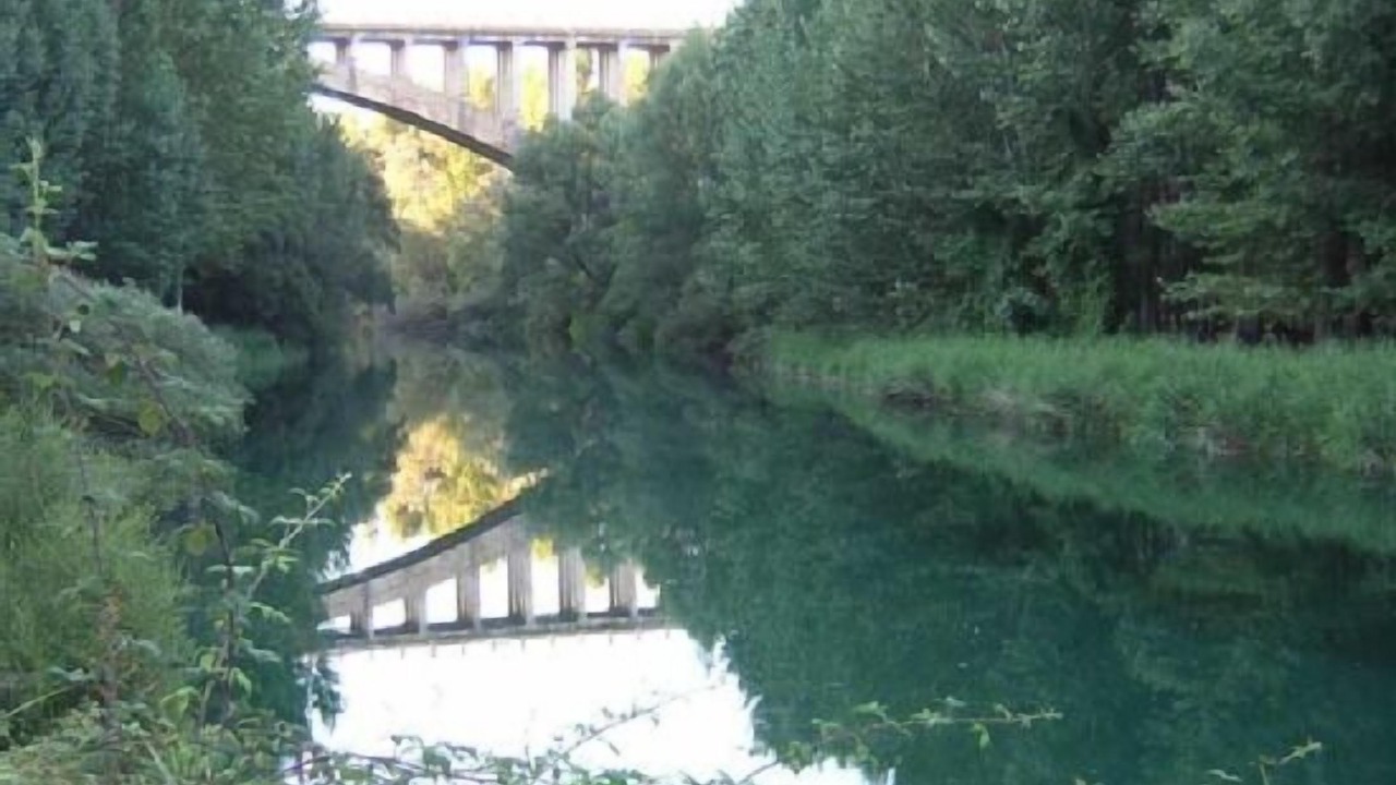 Photo of Others in Cardenete