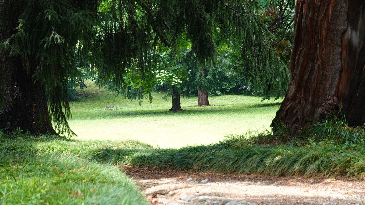 Photo of Outdoor in Invorio