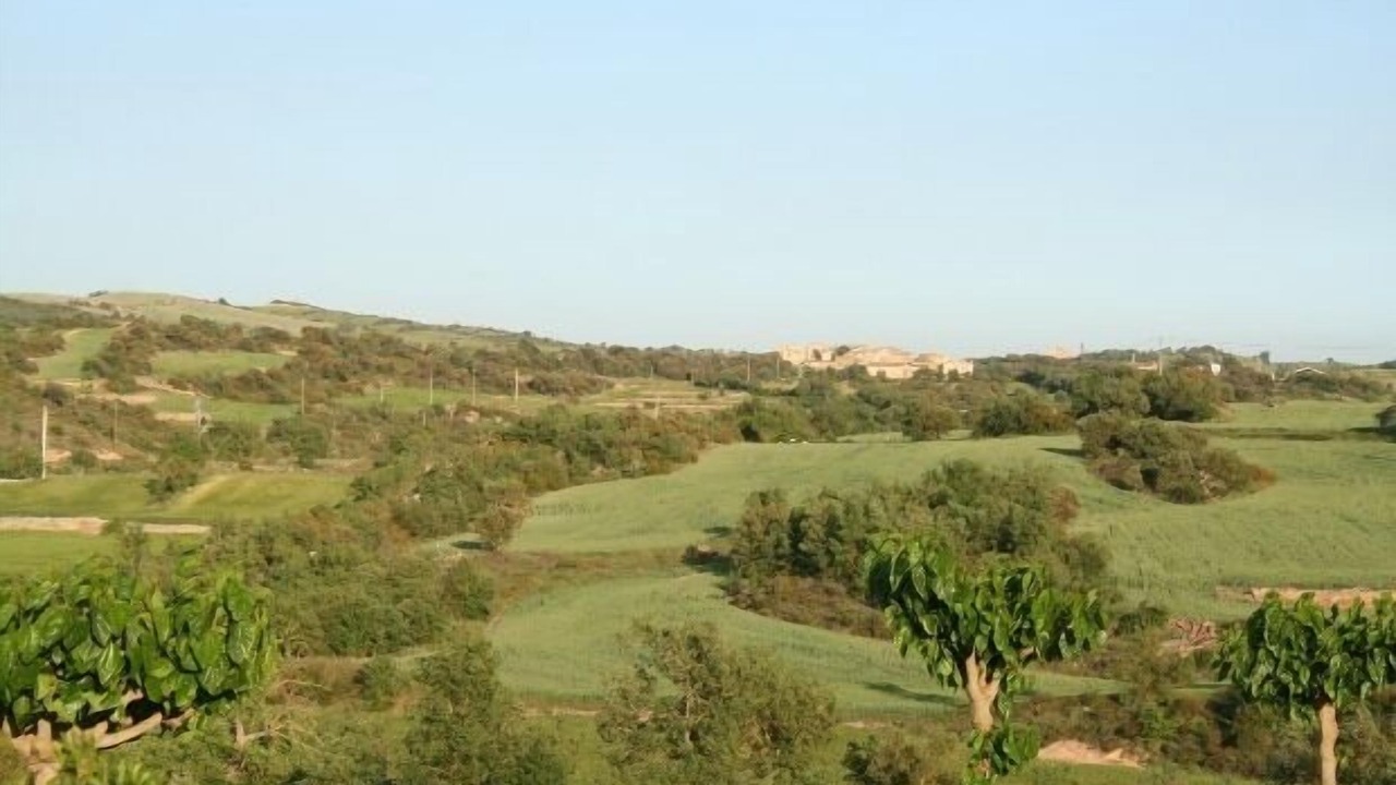 Photo of Others in Massoteras
