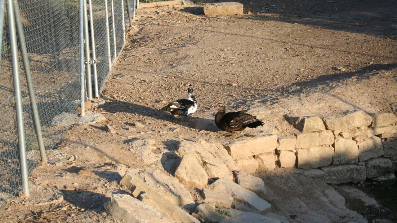 Photo of Others in Massoteras