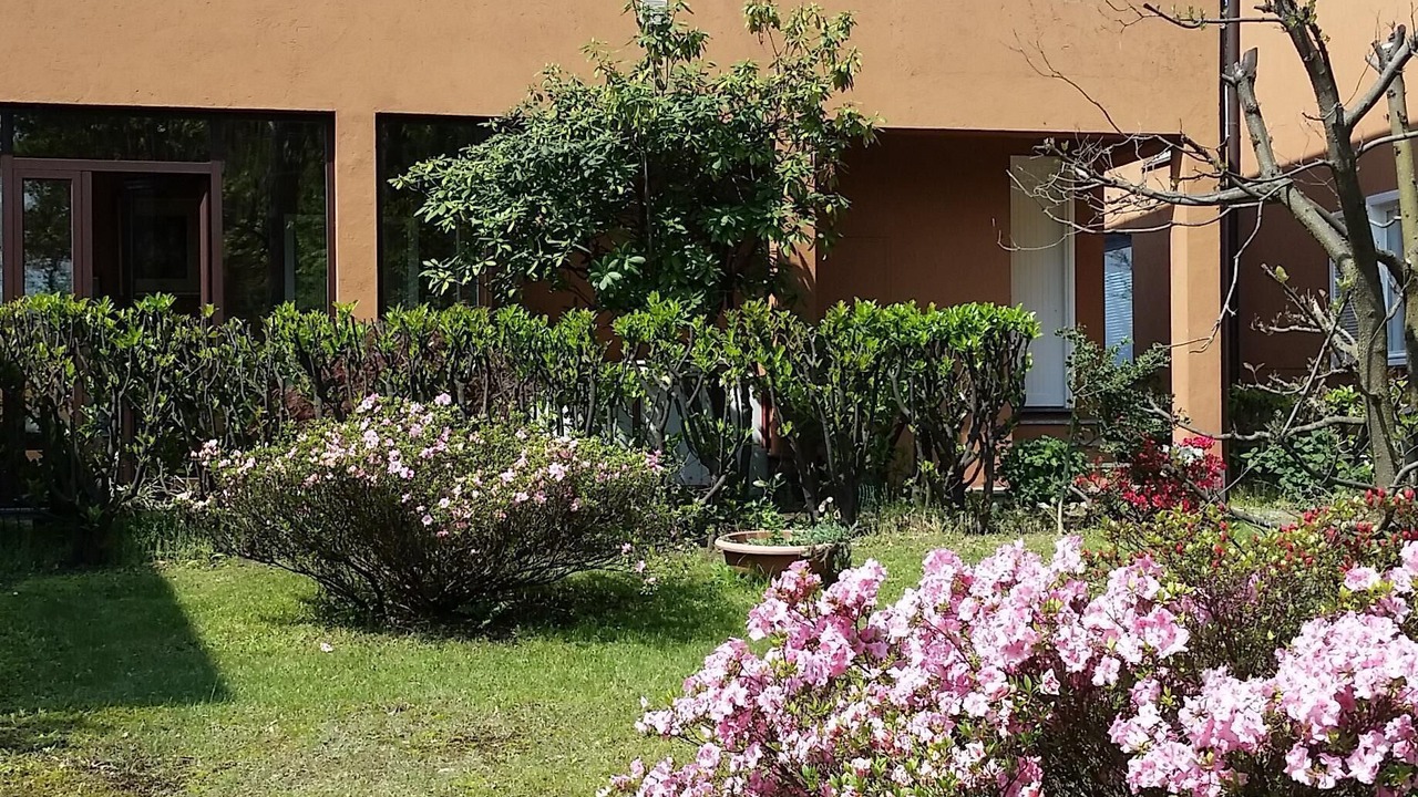 Photo of Outdoor in Ispra