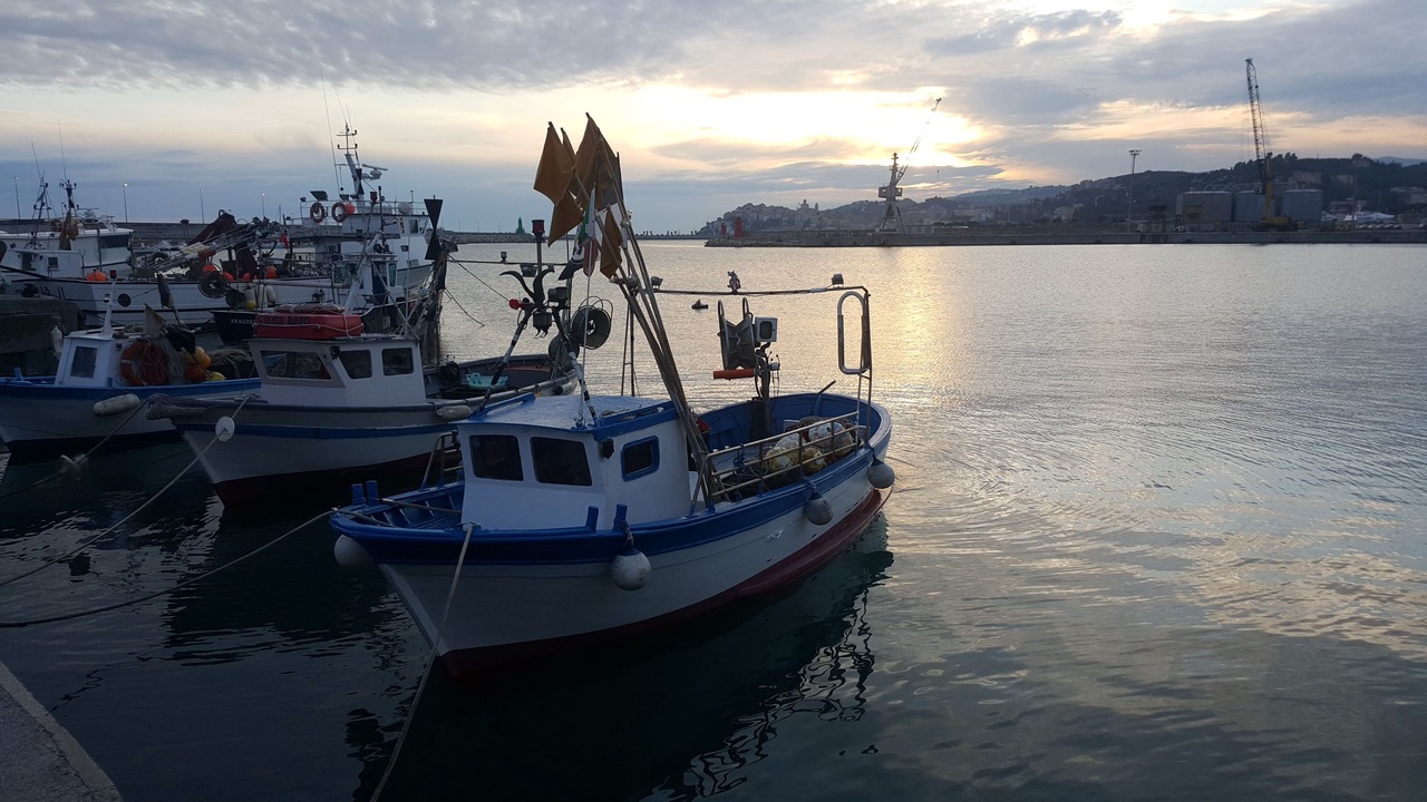 Photo of Others in Oneglia