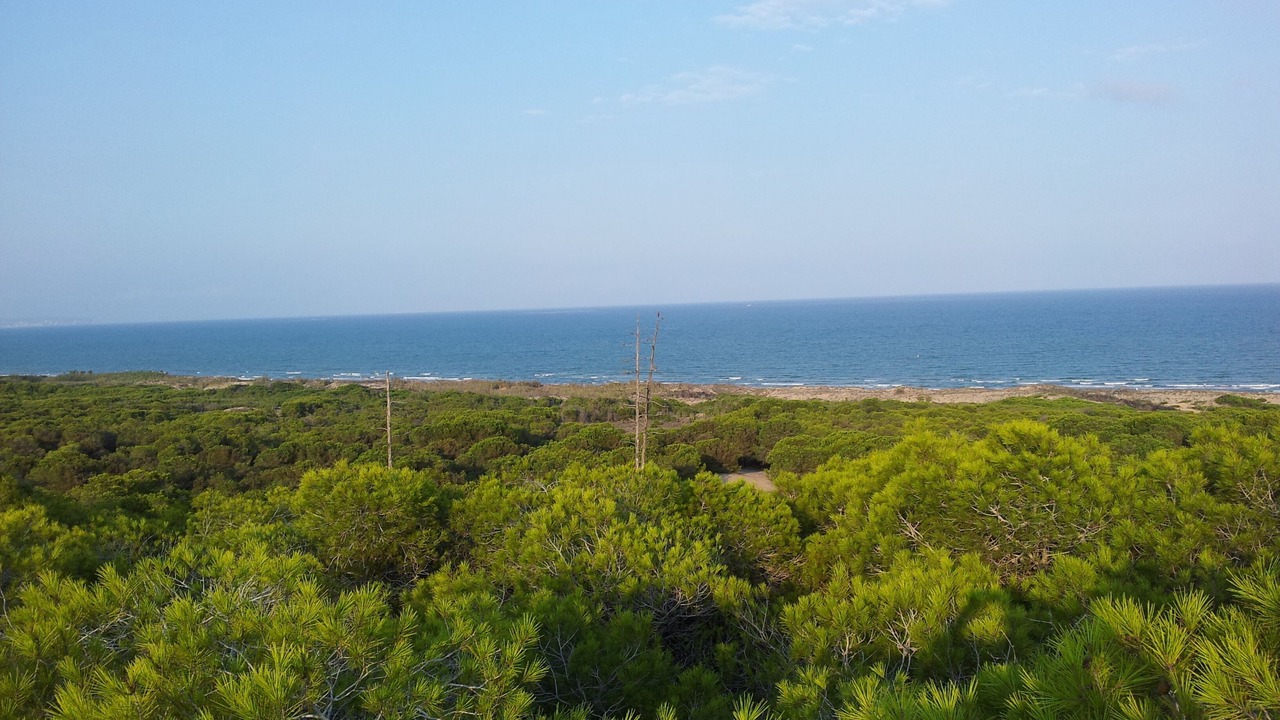 Photo of Others in Orihuela Costa