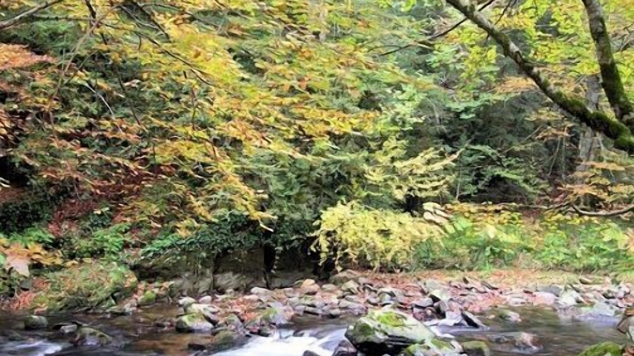 Photo of Outdoor in Aurizberri