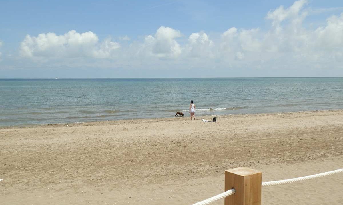Photo of Others in Riumar