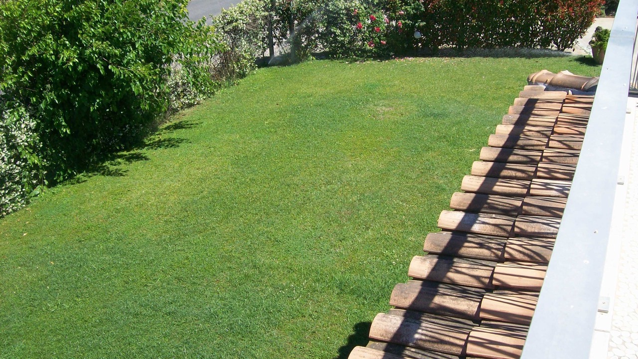 Photo of Outdoor in Ladispoli