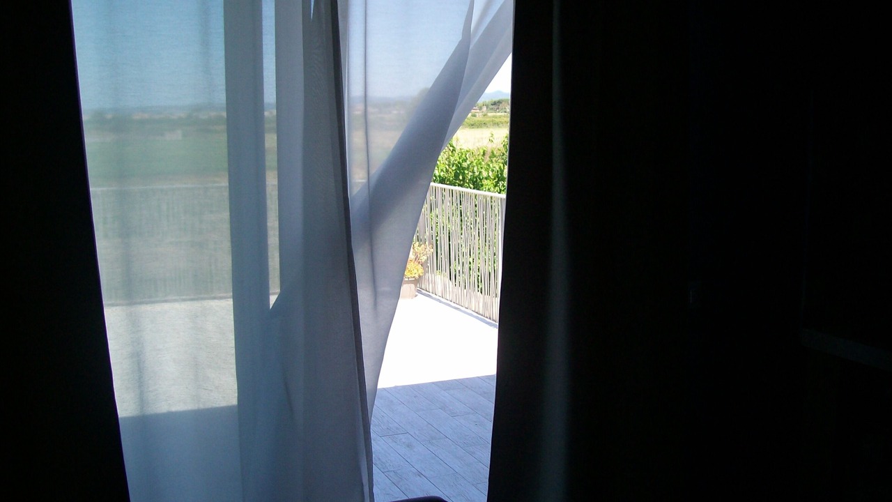 Photo of Others in Ladispoli