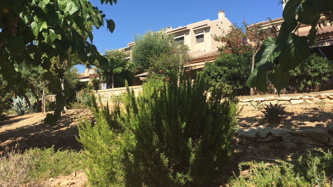 Photo of Outdoor in Altafulla