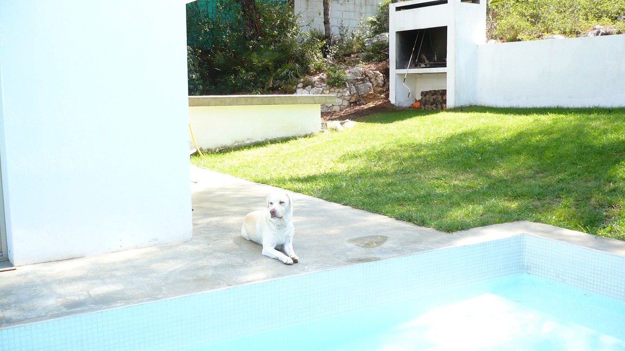 Photo of Outdoor in Canyelles