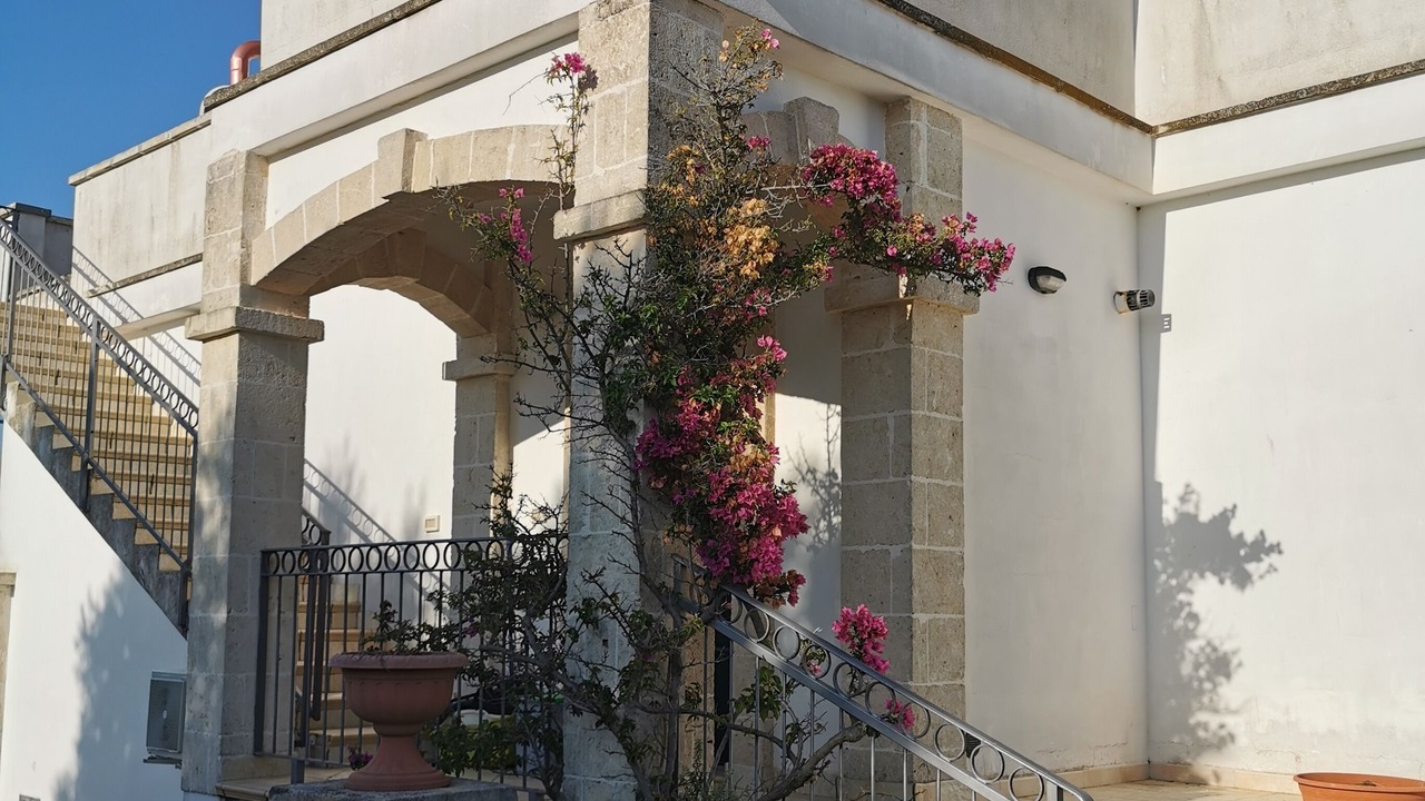 Photo of Outdoor in Specchiolla