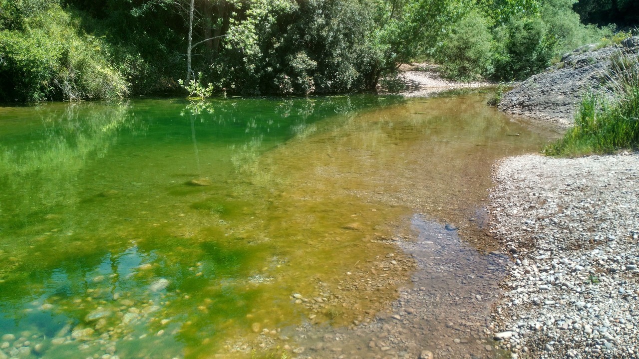 Photo of Others in Cistella