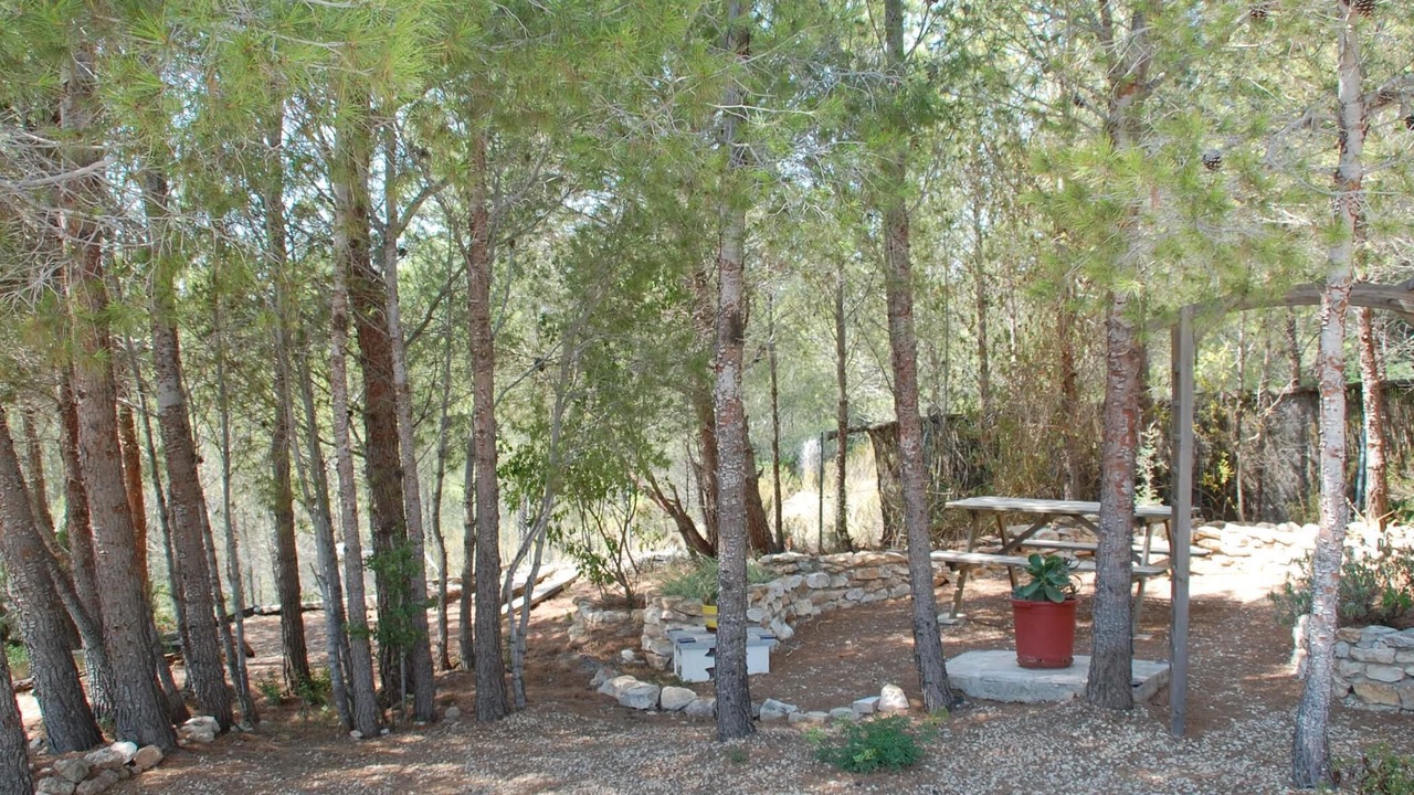 Photo of Outdoor in L'Ametlla de Mar