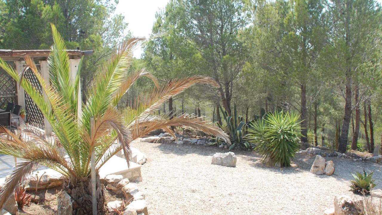 Photo of Outdoor in L'Ametlla de Mar