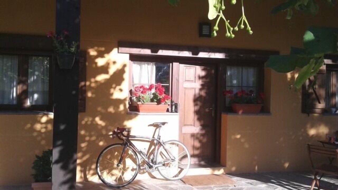 Photo of Outdoor in Campo