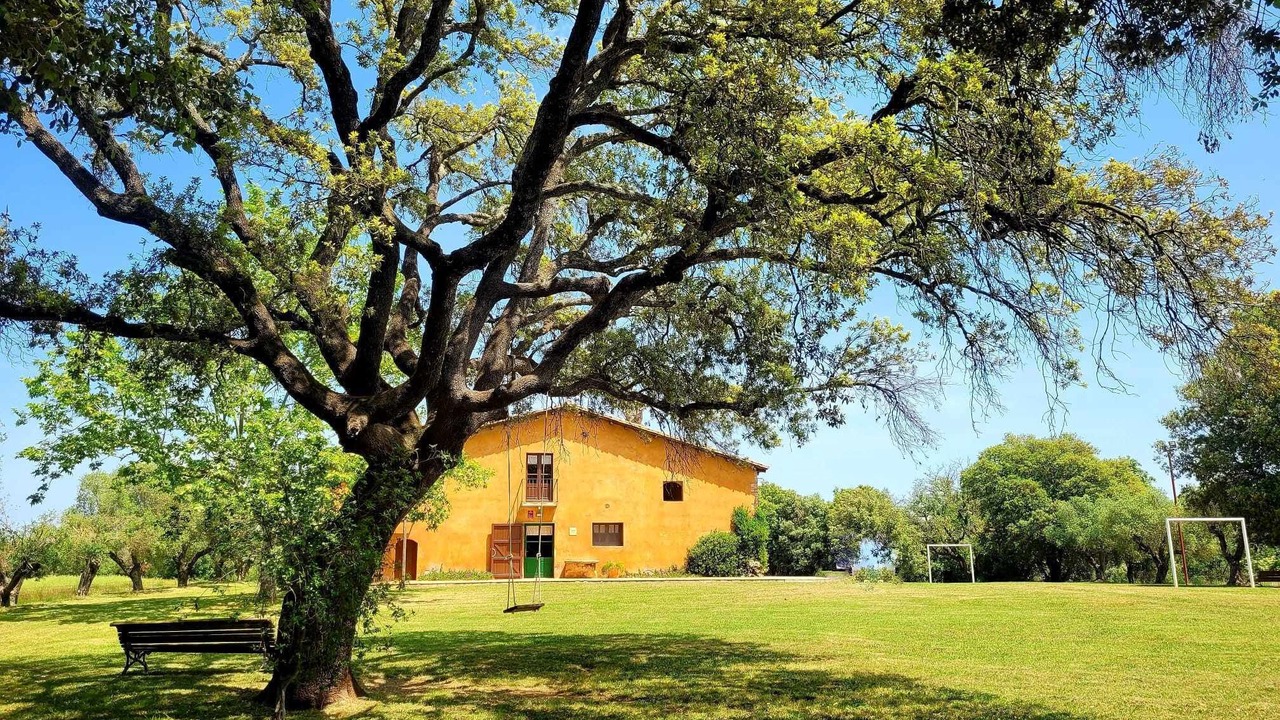 Photo of Outdoor in Queixas