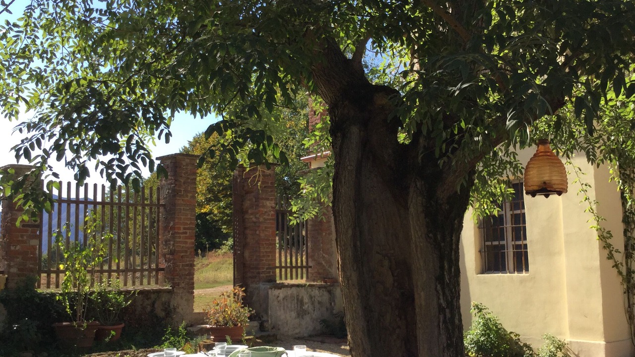 Photo of Outdoor in Druento