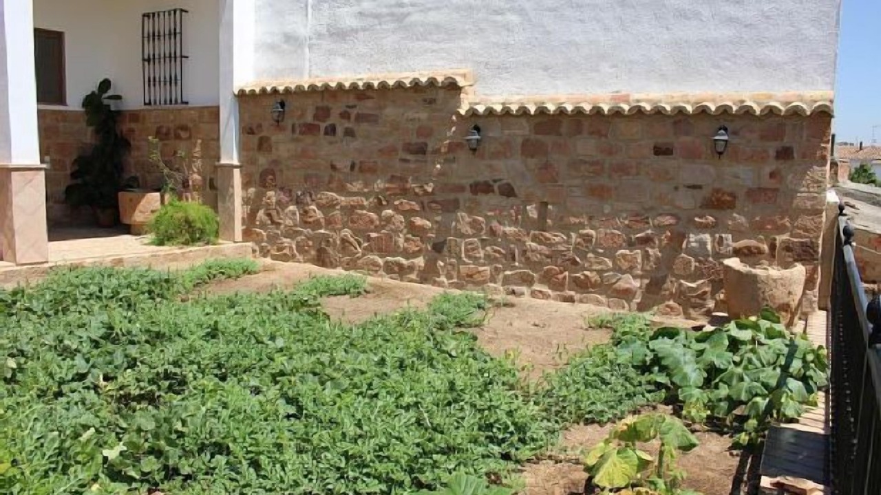 Photo of Outdoor in El Altico