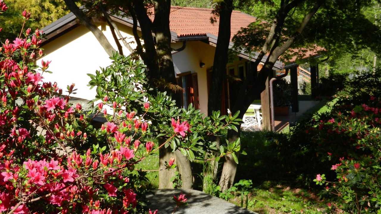 Photo of Outdoor in Bracchio